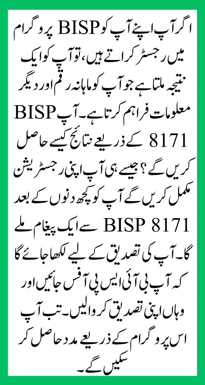 BISP Online Registration Check By Web Portal 2024