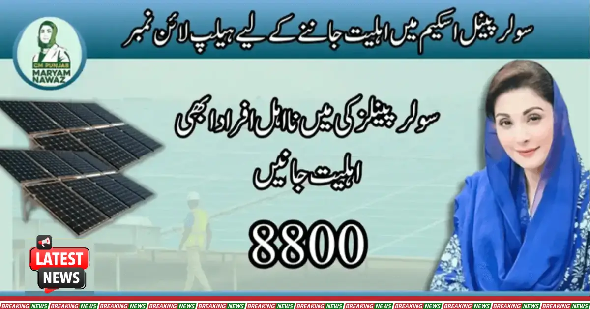 Call 8800 to Check Your Eligibility for the Latest Solar Panel Subsidy Scheme
