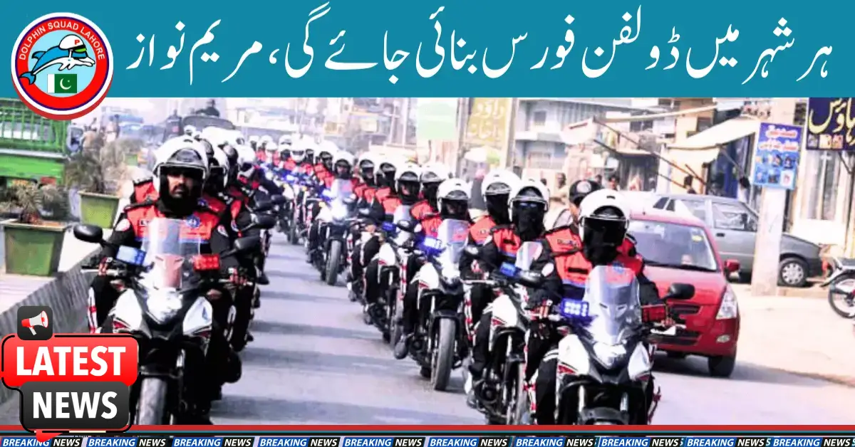 Chief Minister of Punjab Calls for Establishing Dolphin Force in All Cities