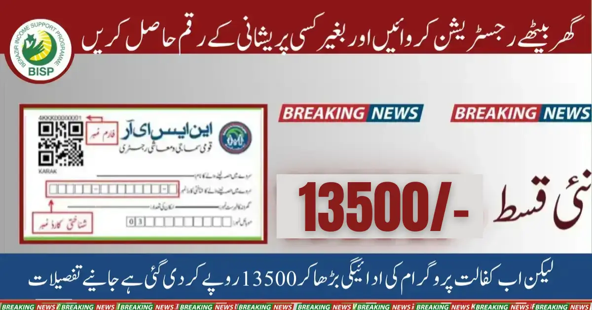 NSER Survey Check CNIC Online Registration 2025