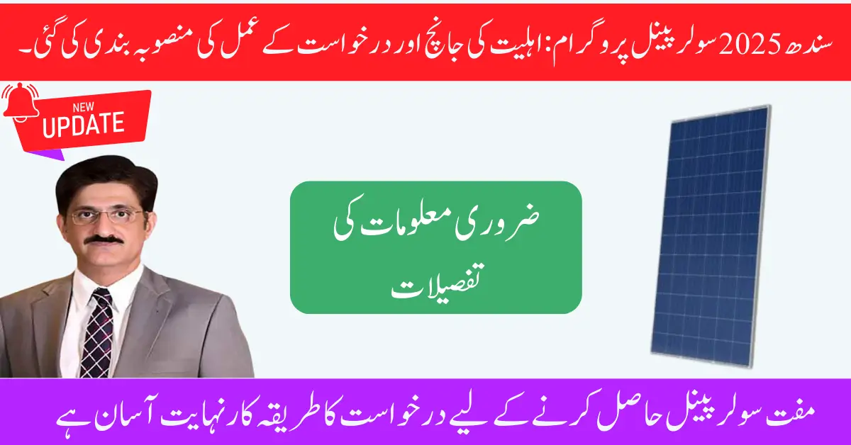 Sindh Free Solar Panel Eligibility Check and Application Process Explained