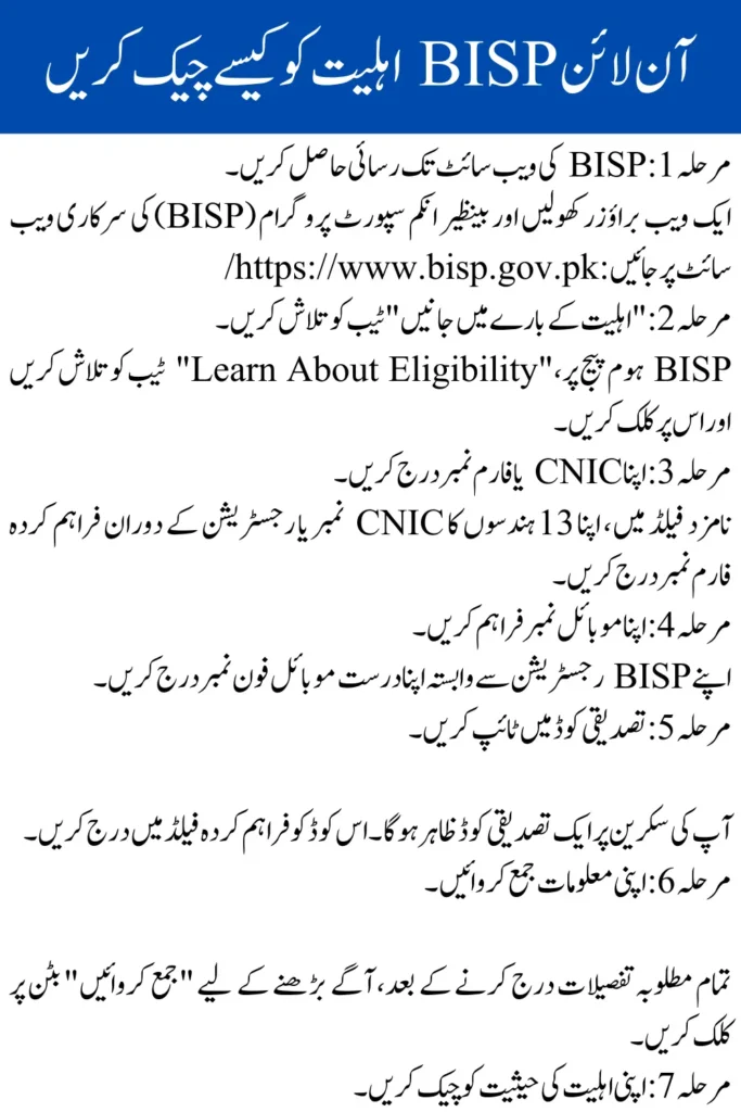 2025 Guide: How to Check BISP Eligibility for Assistance Online