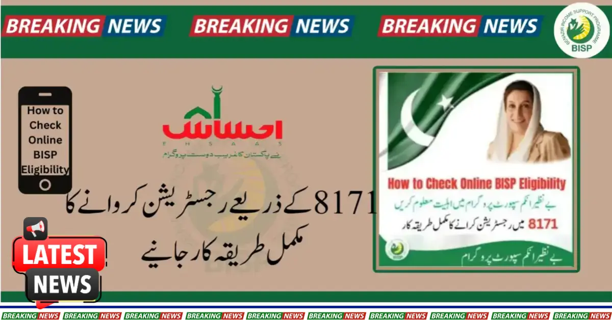 2025 Guide: How to Check BISP Eligibility for Assistance Online