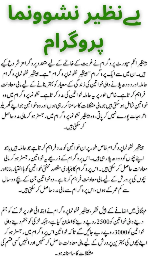 Complete Guide to Benazir Nashonuma Program: Registration Steps and Eligibility Criteria