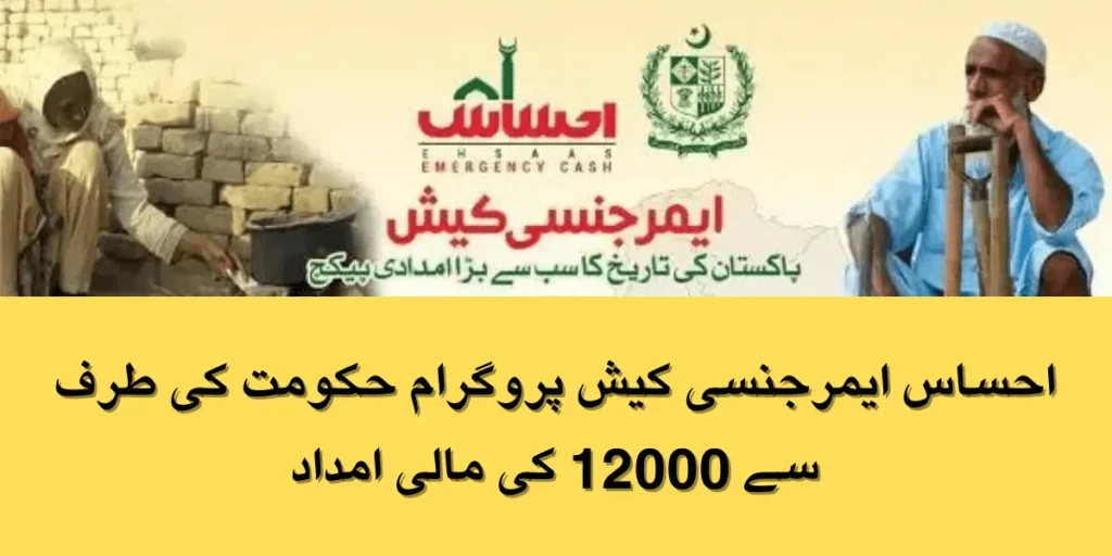 Ehsaas Emergency Cash Program Online Registration