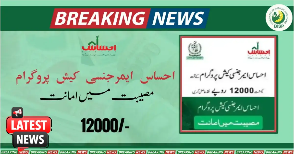 Ehsaas Emergency Cash Program Online Registration