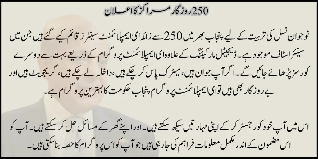 Federal Government Launches 250 New e-Rozgar Centers Nationwide