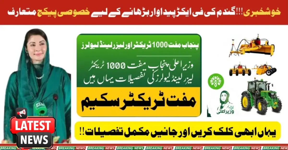 Special Package Introduced to Boost Wheat Production in Punjab