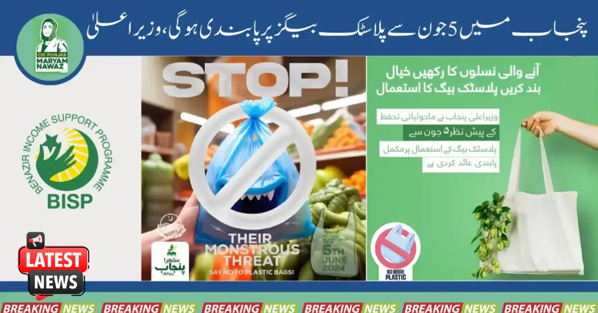 Abolition of Shoppers and Introduction of Bags by the Chief Minister