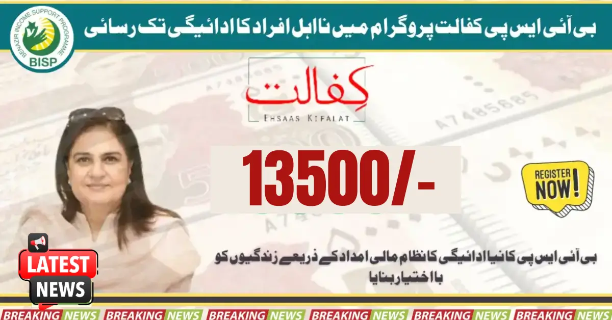 Access To Payment To Ineligible Persons In BISP Kafalat Program