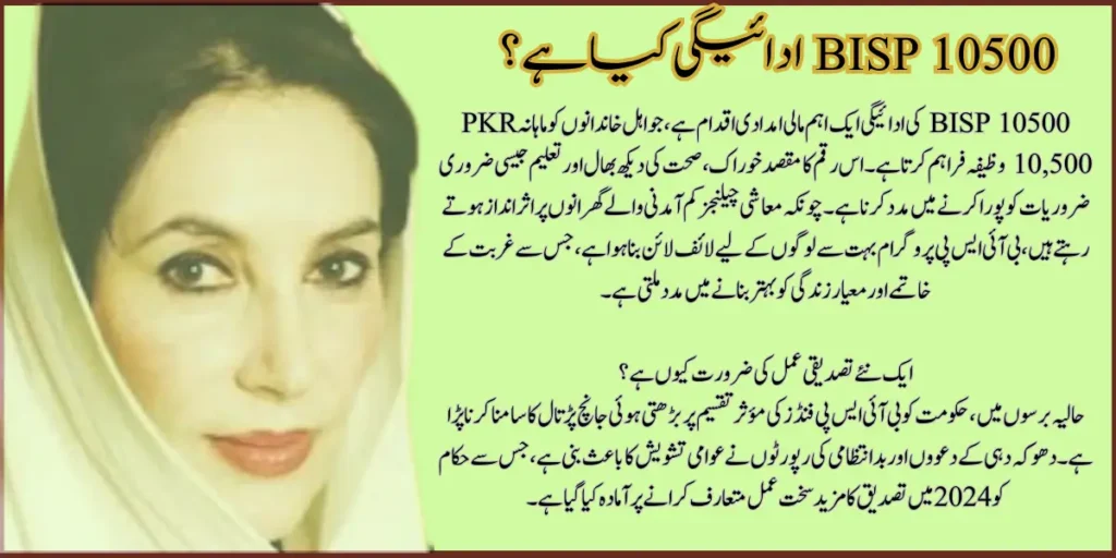 Ehsaas 8171 Payment Of 13,500 Update: New Survey Released for Fresh Assistance, Disbursement Announced