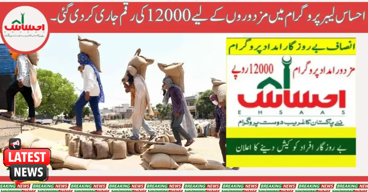 Ehsaas Labour Portal Program New Update 2025