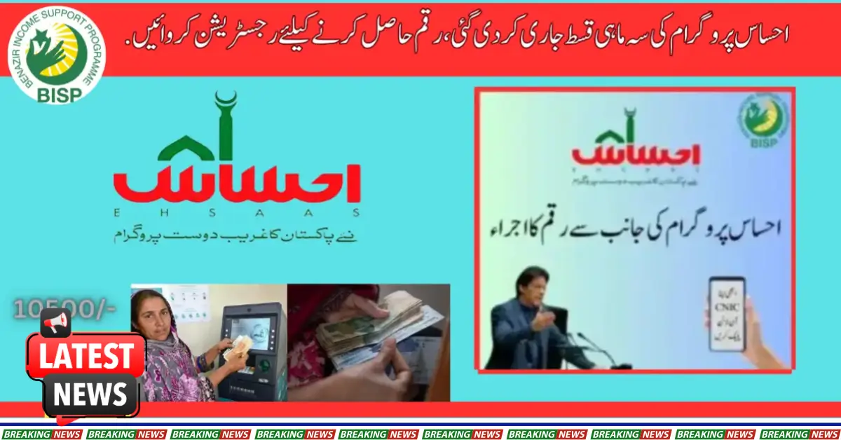 How to Check 8171 Money Online in Pakistan