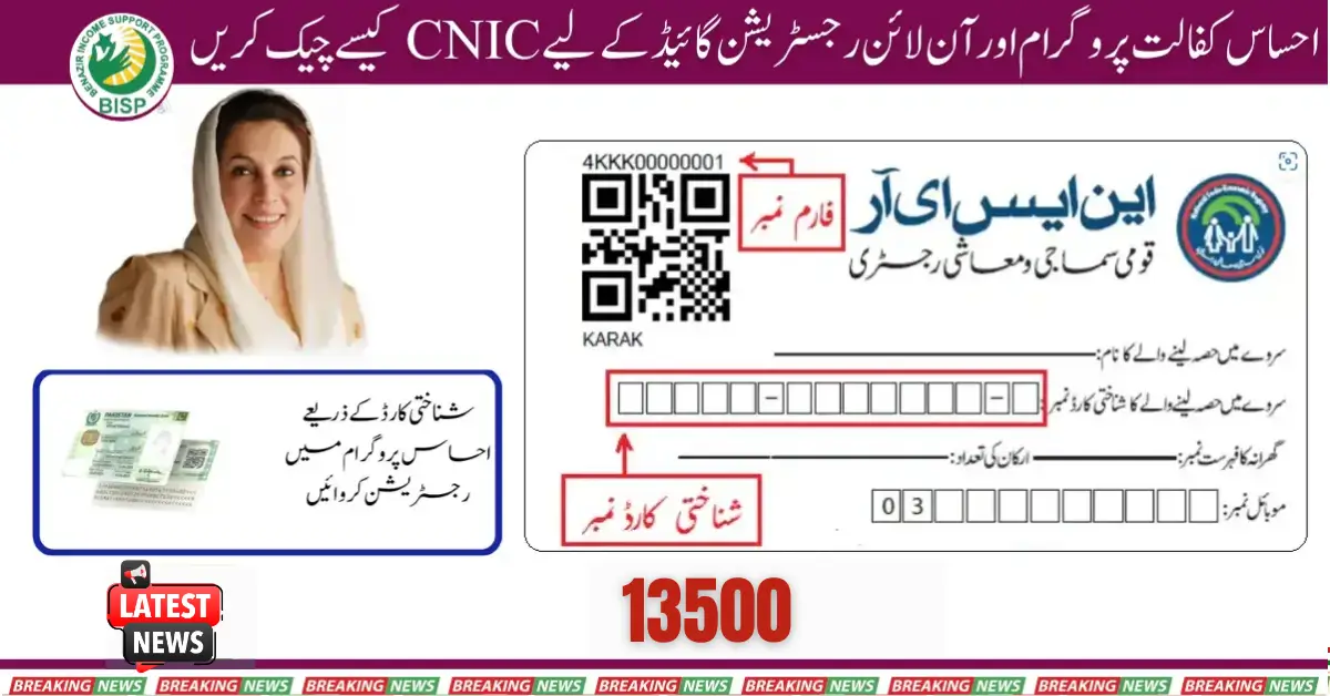 How to Check CNIC for Ehsaas Kafalat Program & Online Registration 2025 Guide