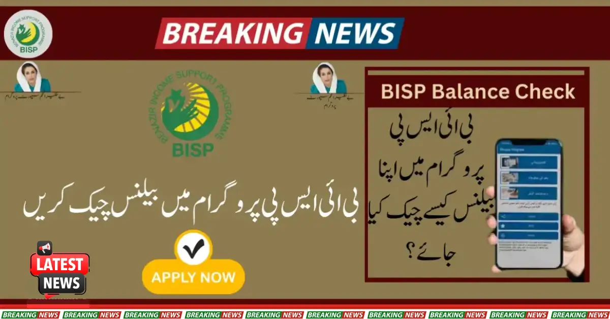 How to Check Your Balance in The BISP Program