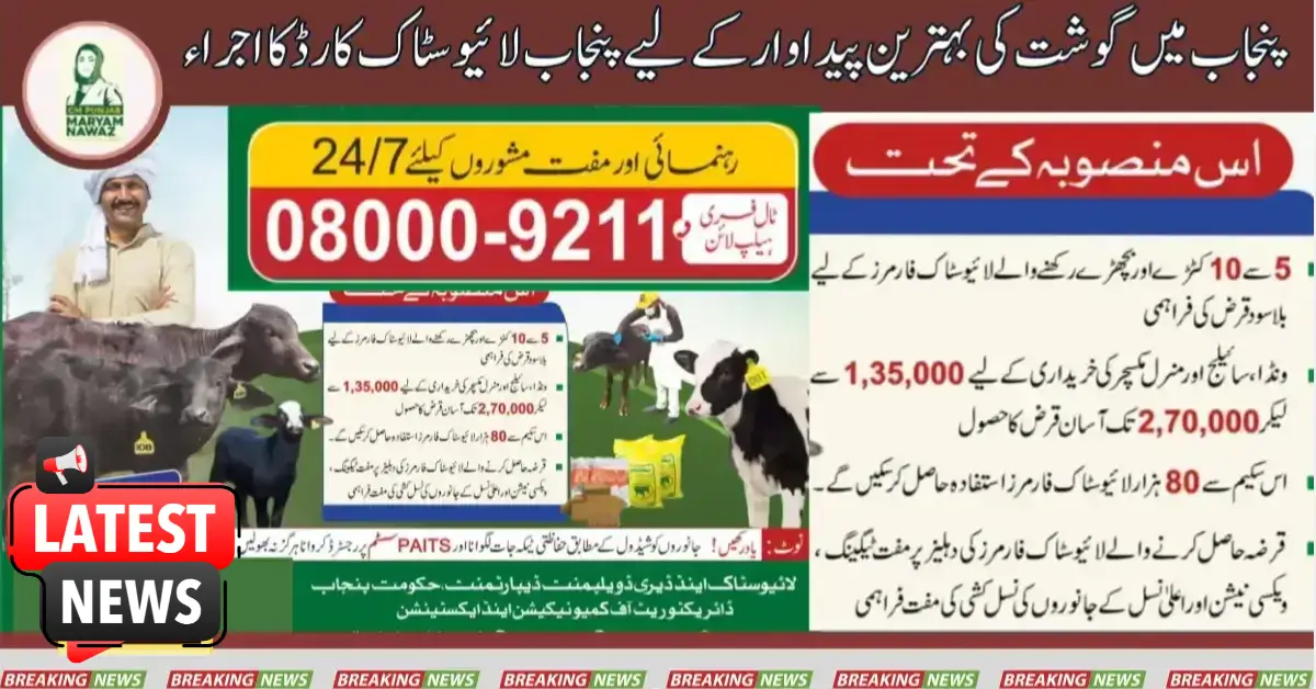 Issue Of Punjab Livestock Card For Best Meat Production In Pnjab 2025