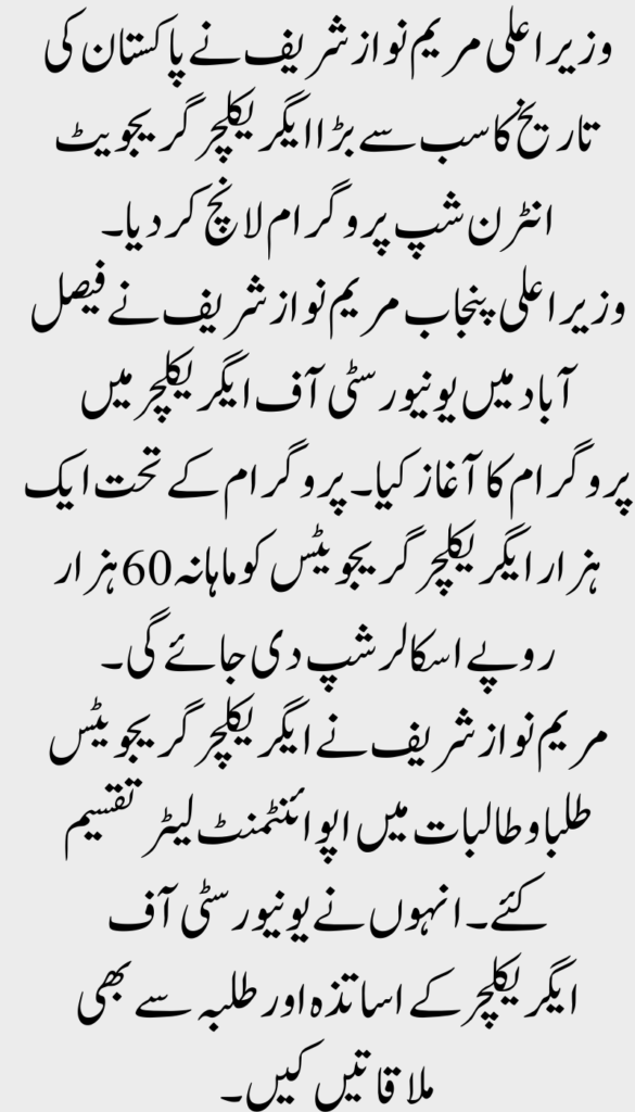 Maryam Nawaz Internship Program Creating a Skilled Future for Students 2025