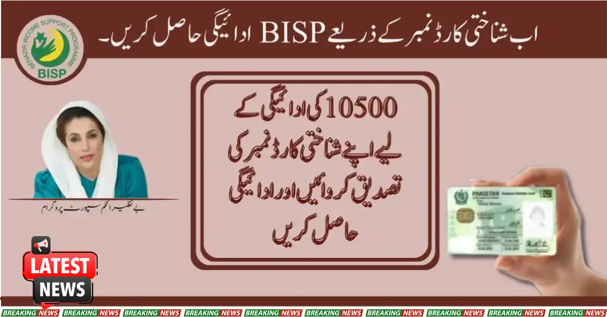 Now Get BISP Payment By ID Card Number