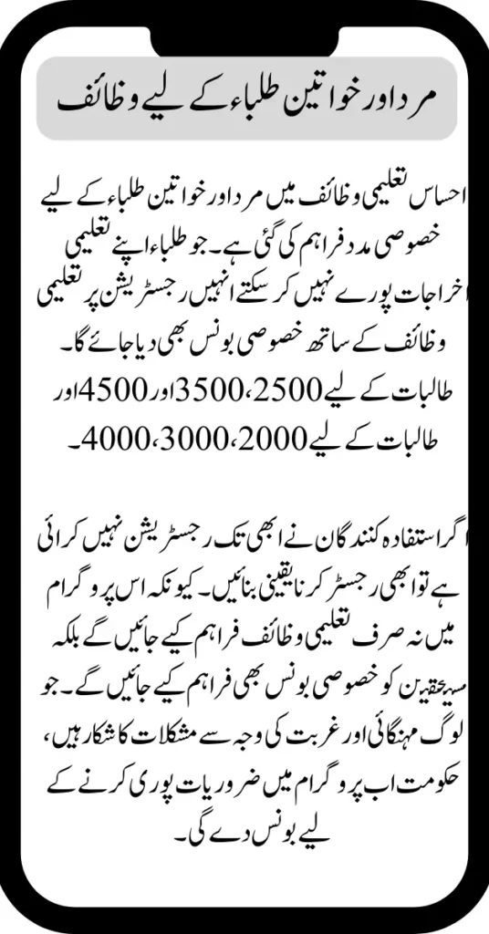 Online Registration for Ehsaas Education Scholarships for Ineligible