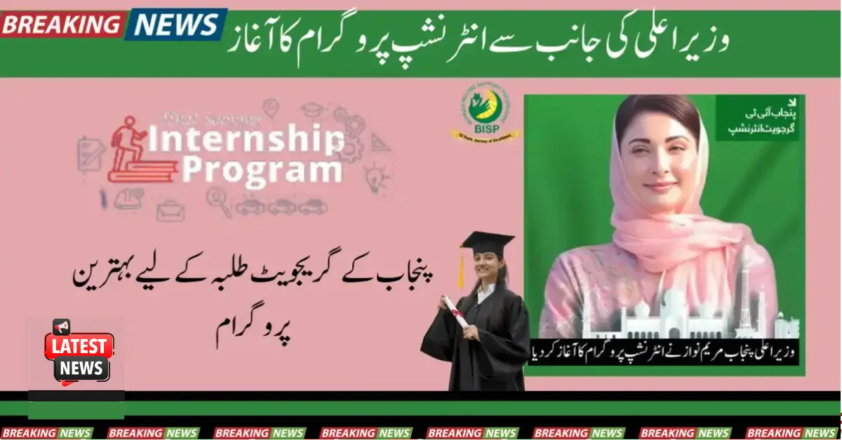 Punjab IT Graduate Internship Program New Registration