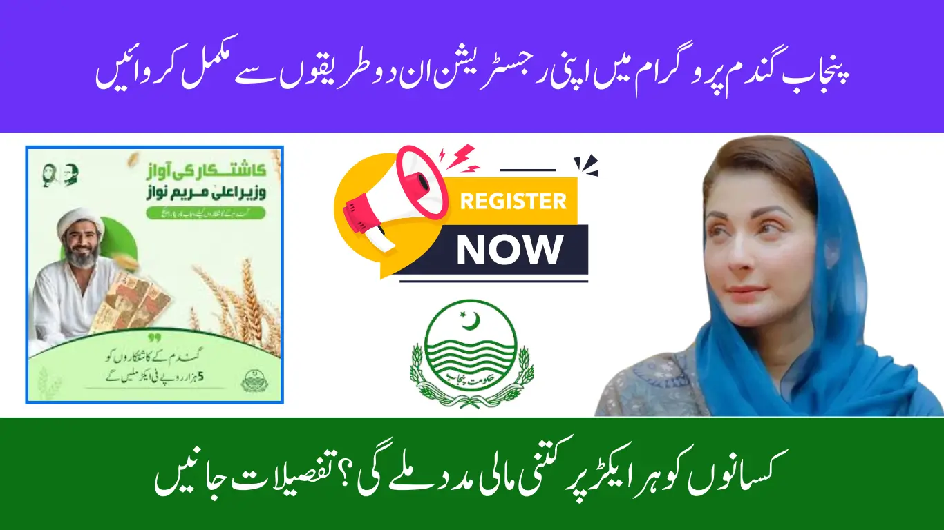 Complete Guide to Offline Registration for Punjab 5000 Wheat Scheme: A Step-by-Step Approach