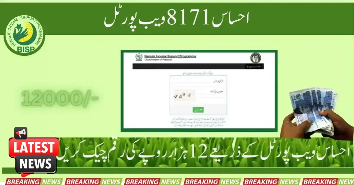 Ehsaas 8171 Web Portal Check Online 2025