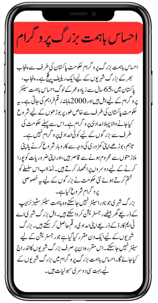 Ehsaas Bahimmat Buzurg Program for Financial Assistance