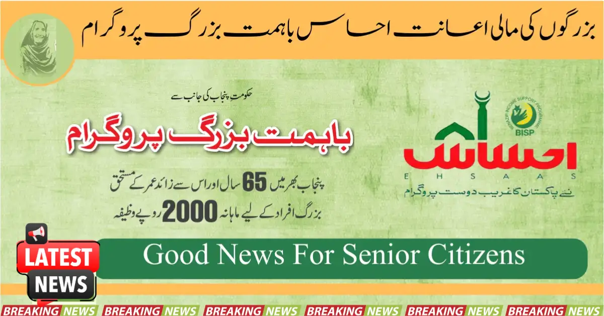 Ehsaas Bahimmat Buzurg Program for Financial Assistance