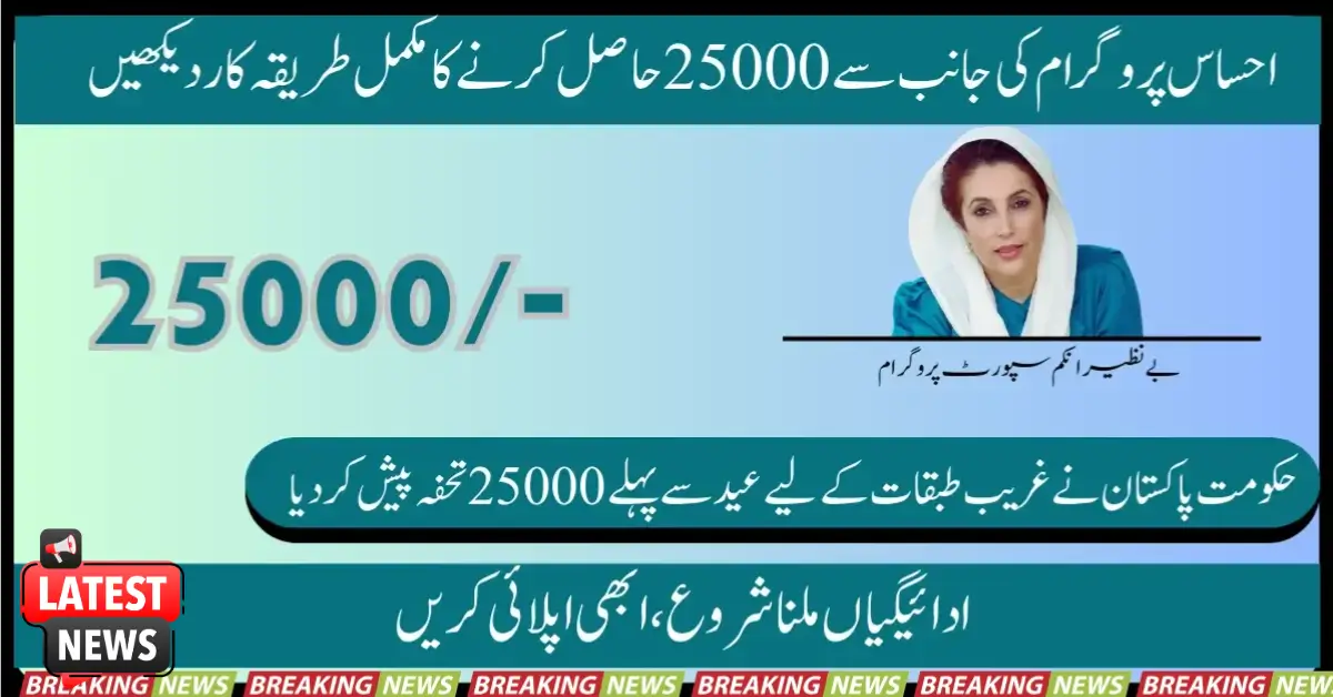 Ehsaas Program Check CNIC 25000 Online Registration