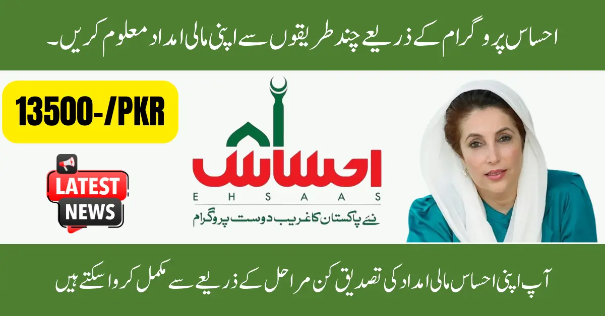 How to Check Ehsaas Payment Status Instantly with 8171 – Full Instructions