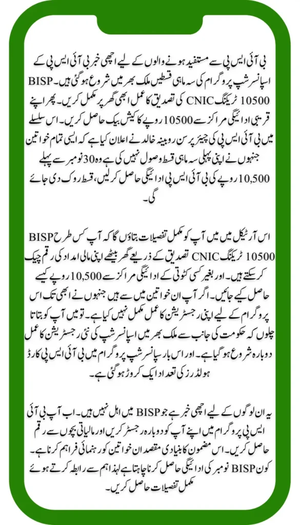 How to Track BISP 10500 Payment and Verify CNIC via 8171 from Home