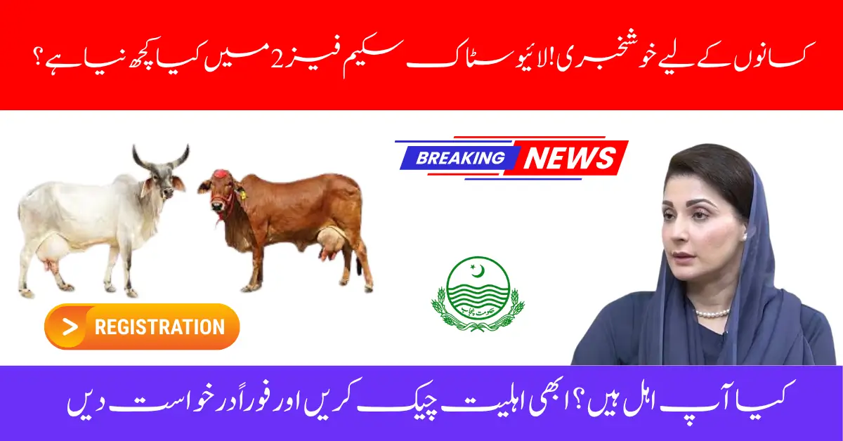 Phase II of CM Free Livestock Program Starts in Punjab – Eligibility Criteria & Application Guide Inside
