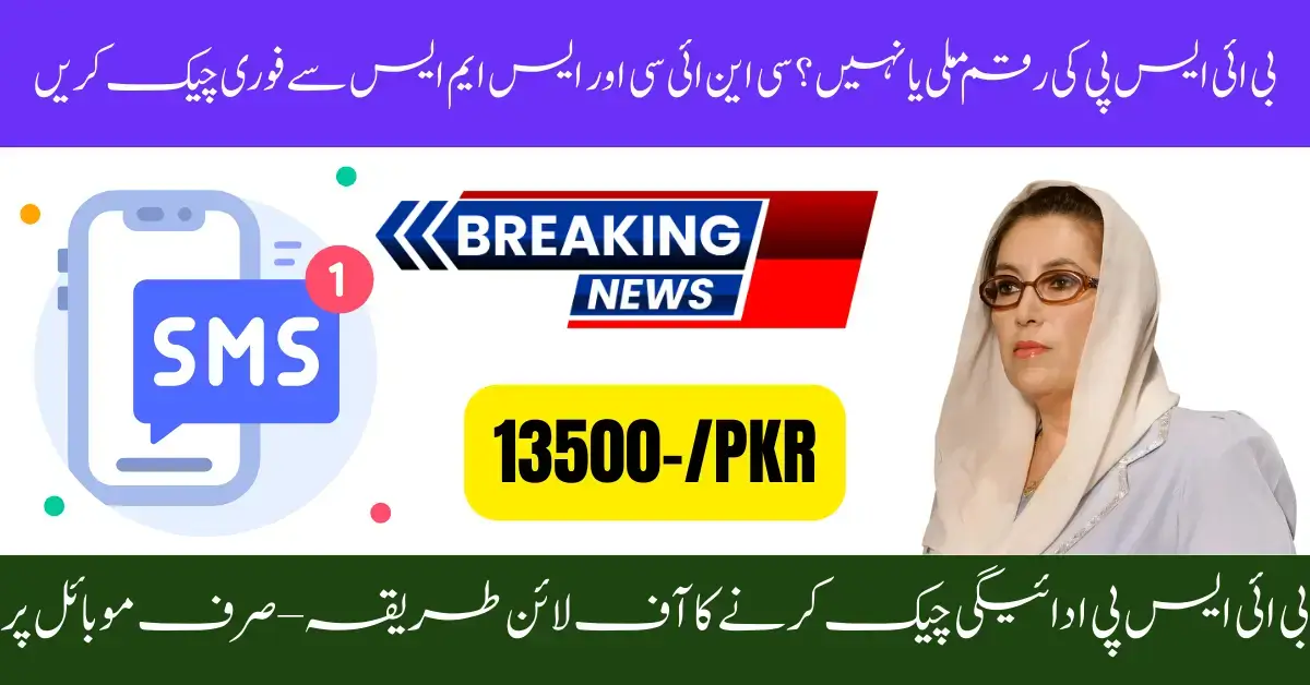 Simple Steps to Check BISP Payment 2025 via CNIC and 8171 SMS Without Internet Access