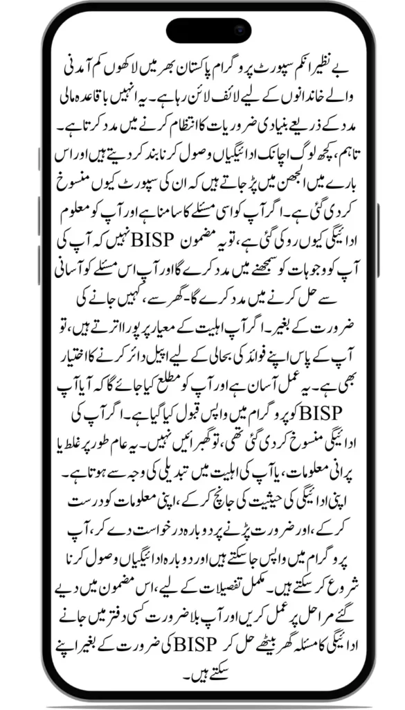 Why Your BISP Payment Was Stopped – Main Causes and Quick Fixes