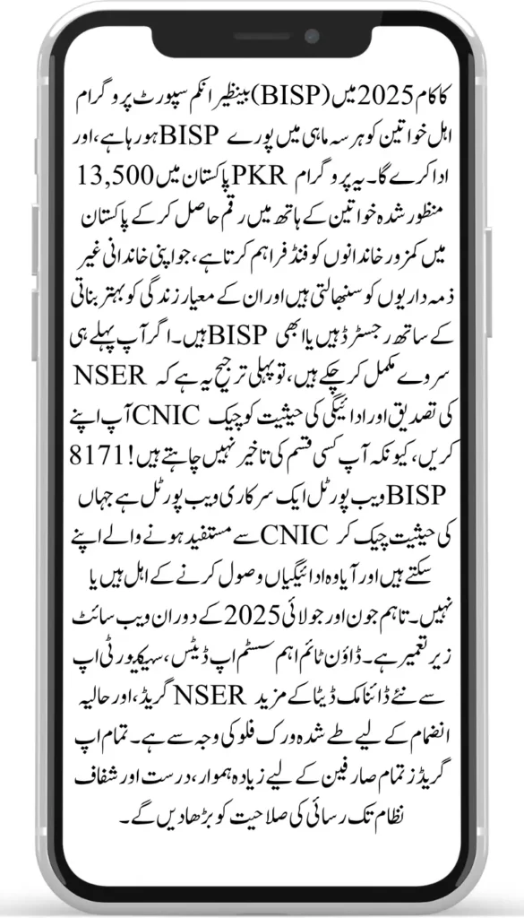 8171 CNIC Confirmation 2025 Step-by-Step Guide to Check 13500 Payment Status