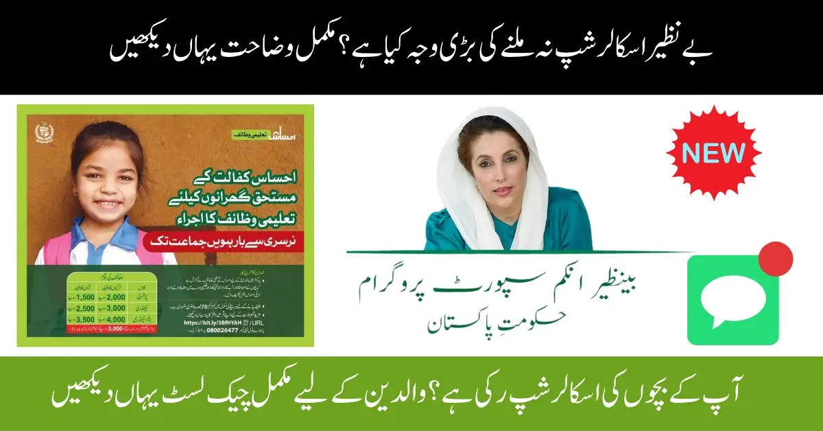 Why Is the Benazir Scholarship Not Coming? New System & Attendance Explained