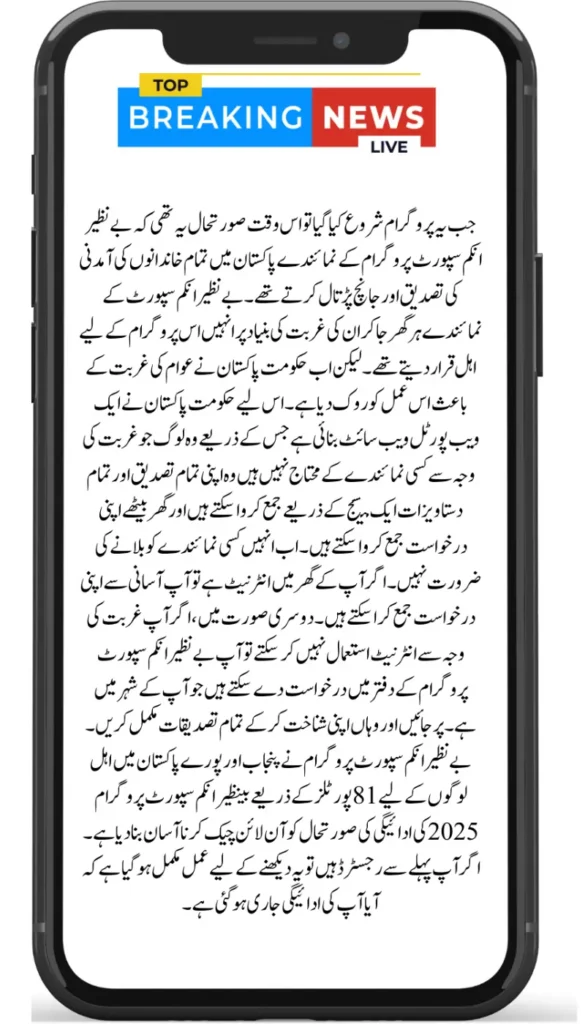 District-Level Overview of Punjab 8171 Benazir Payments 2025