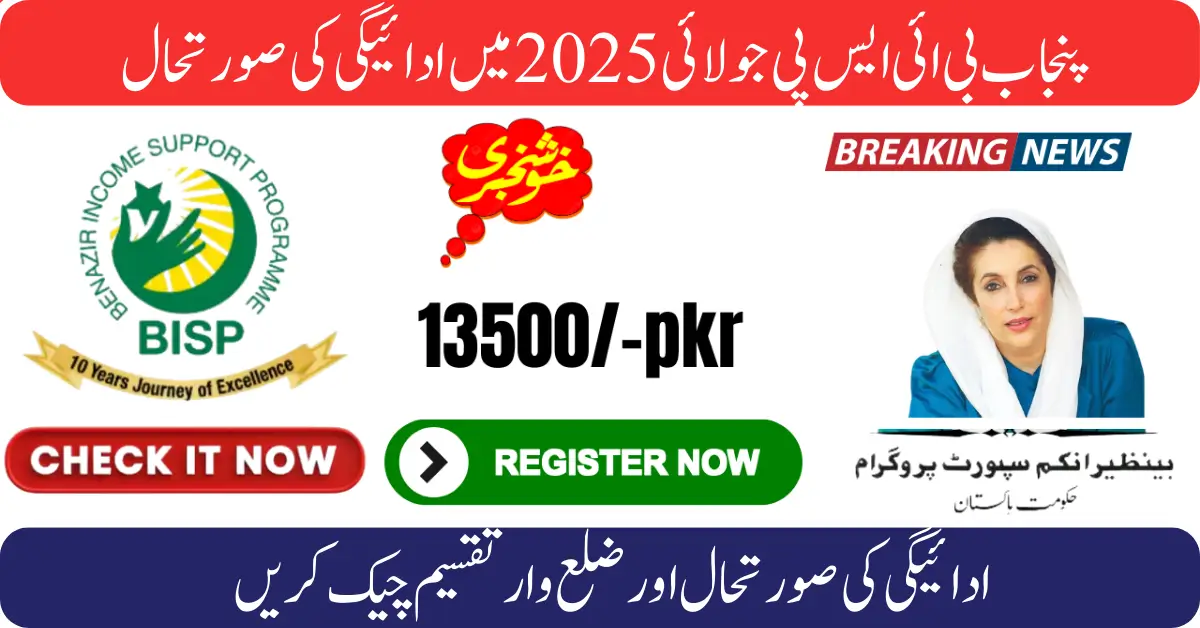 District-Level Overview of Punjab 8171 Benazir Payments 2025