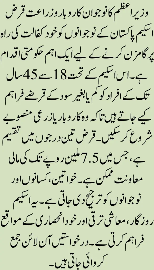 PM Youth Business and Agriculture Loan Scheme Initiative