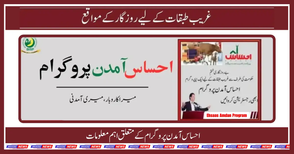 Check Your Ehsaas Amdan Program Online By CNIC 2025