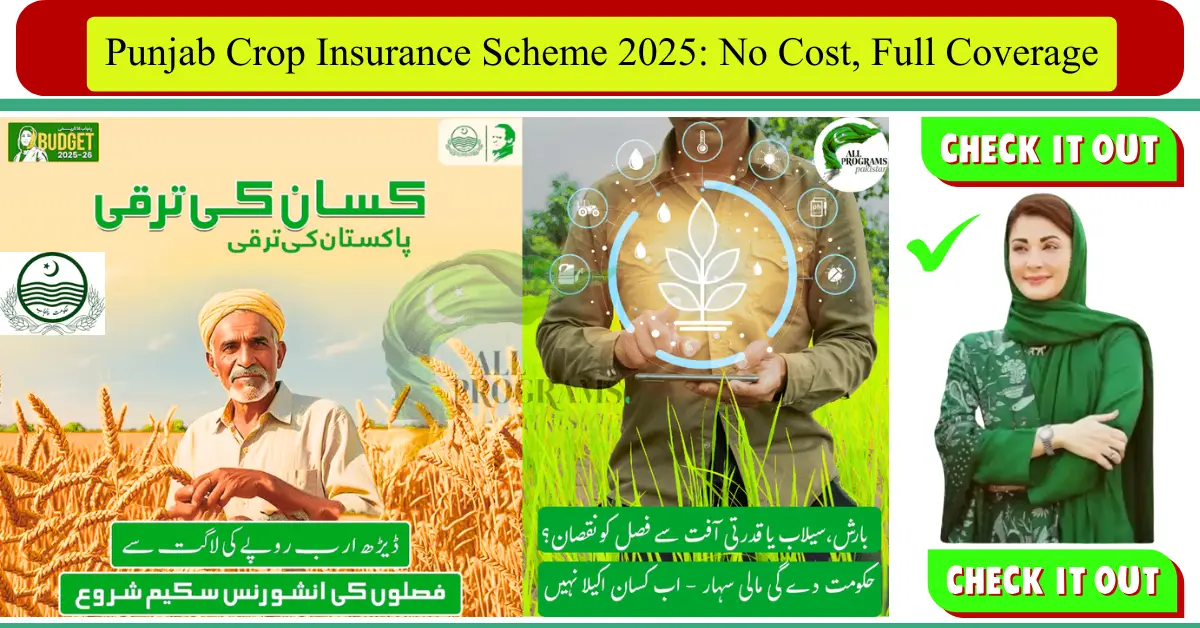 Punjab Crop Insurance Scheme 2025: How to Navigate Benefits, Eligibility and Online Application