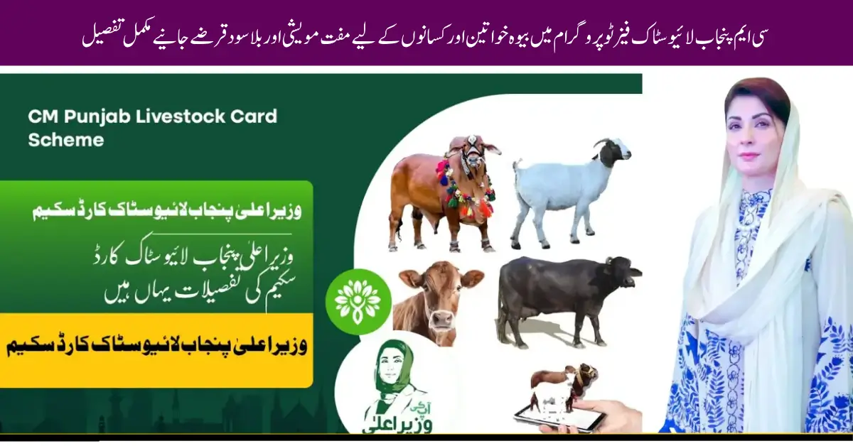CM Punjab Livestock Program Phase 2: Financial Support for Widows and Women Empowerment