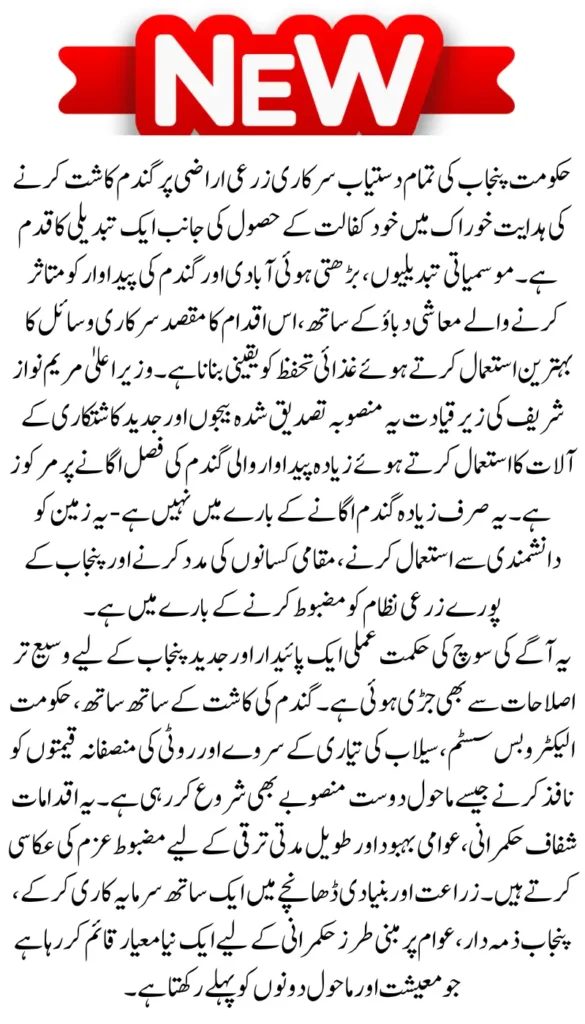 Punjab’s State-Owned Lands to Host Wheat Farming: Chief Minister’s Vision Unveiled Check Now